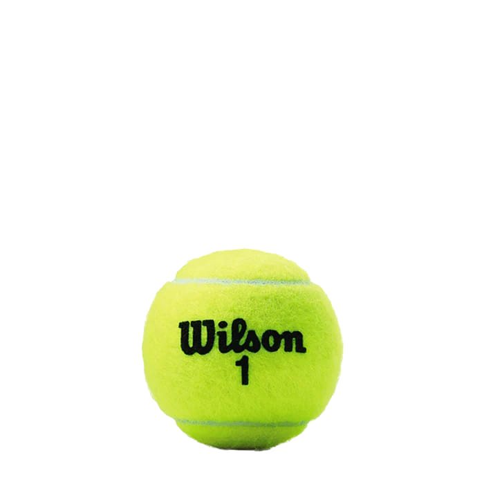 24 Pack Bote De Pelotas Wilson Championship