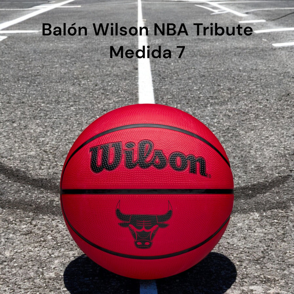 Balon De Basquetbol Wilson Nba Team Tribute Bulls #7