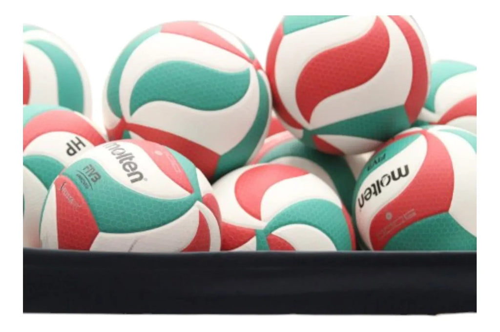 Balón Voleibol Molten V5m5000 Flistatec Profesional Fivb No5