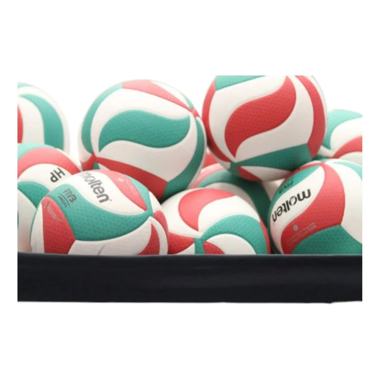 Balón Voleibol Molten V5m5000 Flistatec Profesional Fivb No5