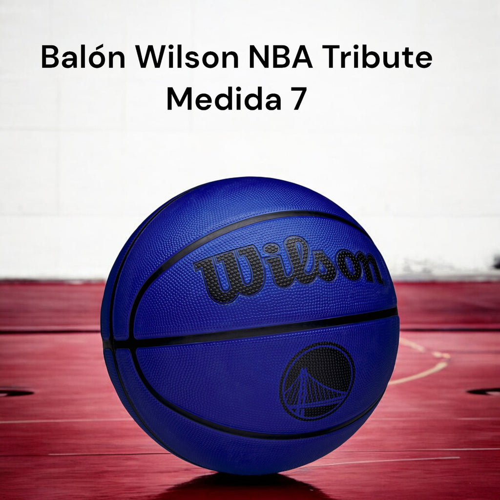 Balon De Basquetbol Wilson Nba Team Tribute Warriors #7