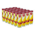 Pelotas de Tenis Wilson Championship Nivel del Mar Caja 24 pack